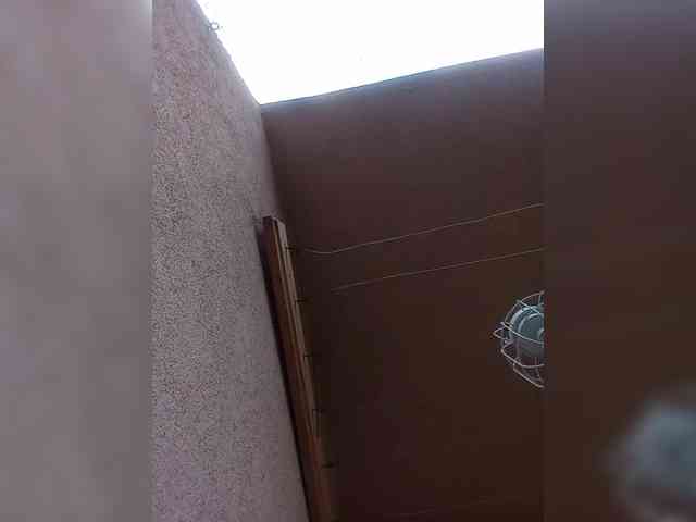 VolshEbnutaya_001 webcam