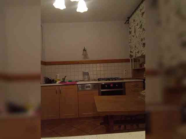 VolshEbnutaya_001 webcam