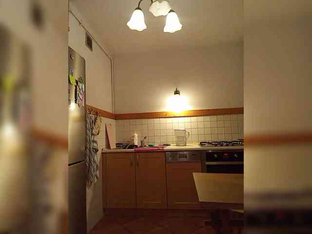 VolshEbnutaya_001 webcam