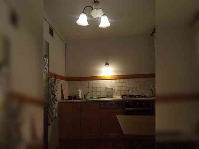 VolshEbnutaya_001 webcam