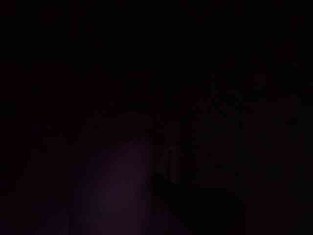 VolshEbnutaya_001 webcam