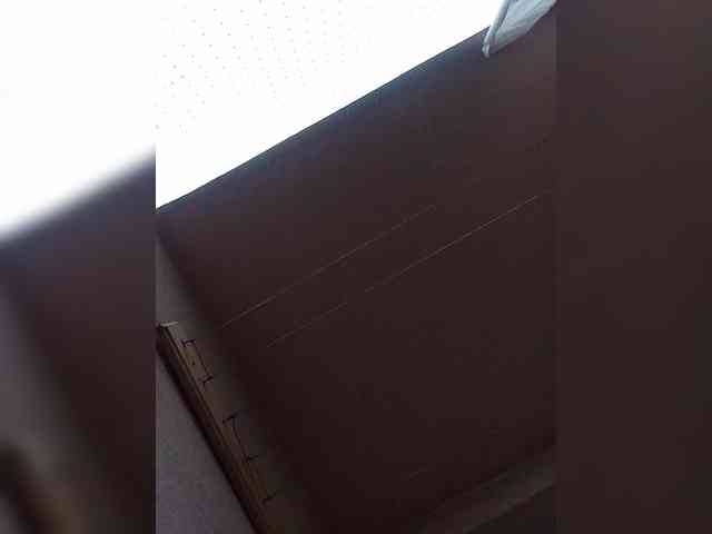 VolshEbnutaya_001 webcam