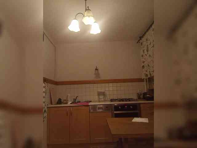 VolshEbnutaya_001 webcam