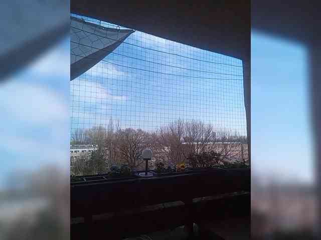 VolshEbnutaya_001 webcam