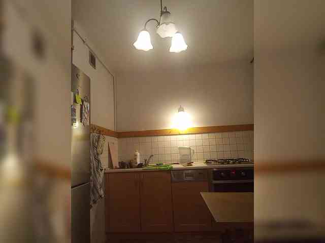 VolshEbnutaya_001 webcam