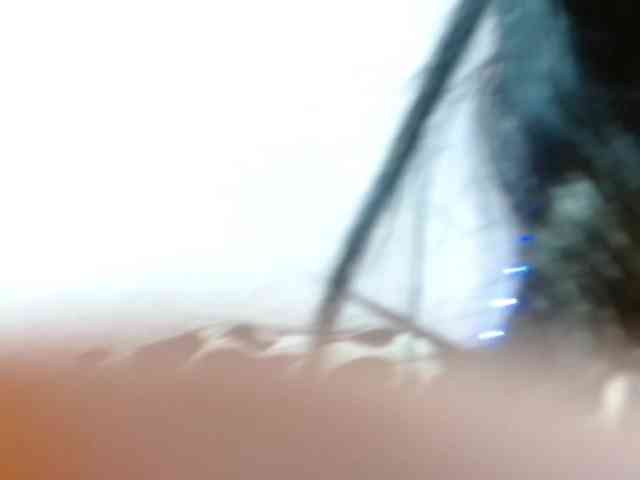 SexyViagra69 SexyViagra69