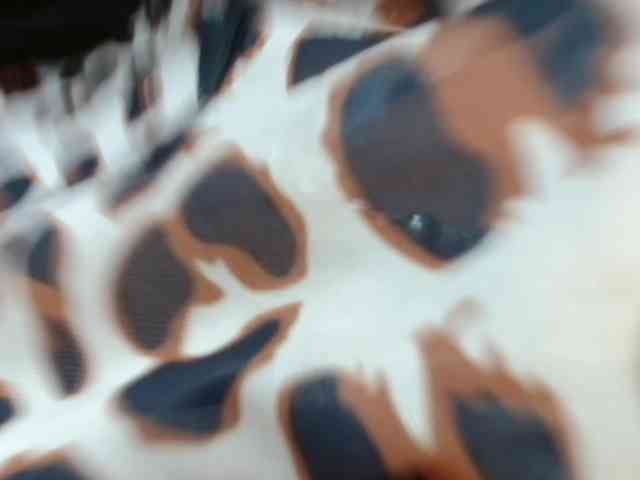 SexyViagra69 SexyViagra69