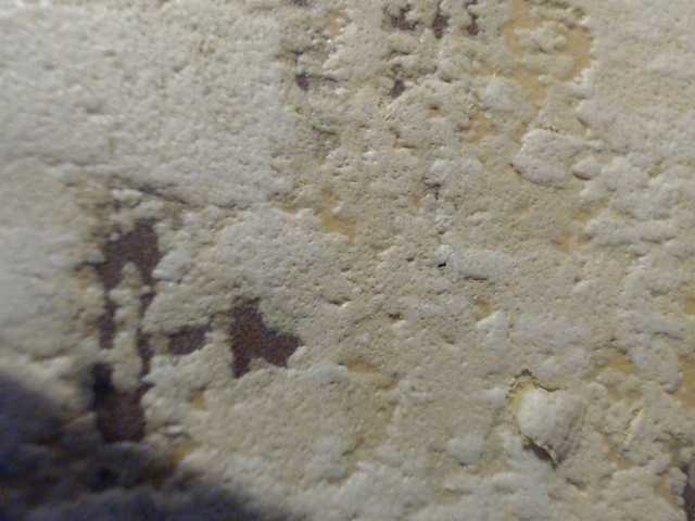 moxxito from BongaCams is Freechat