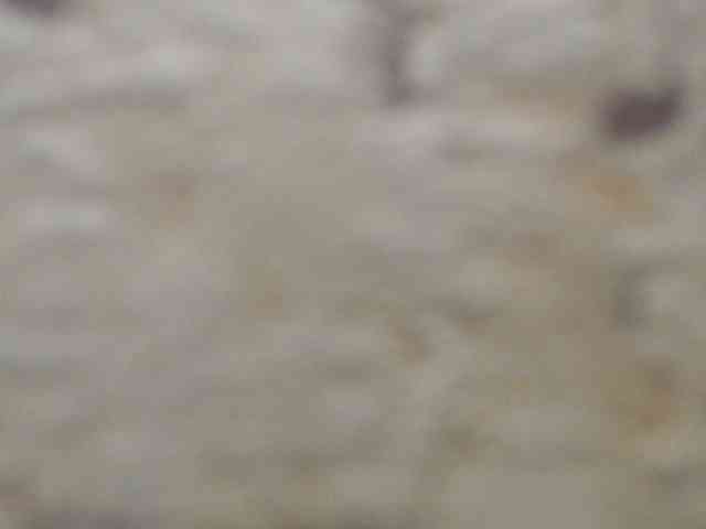 moxxito webcam