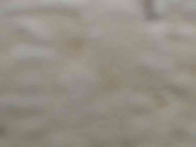 moxxito webcam