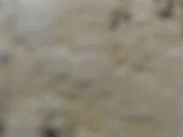 moxxito webcam