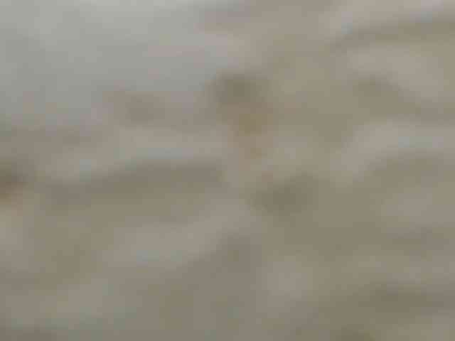 moxxito webcam