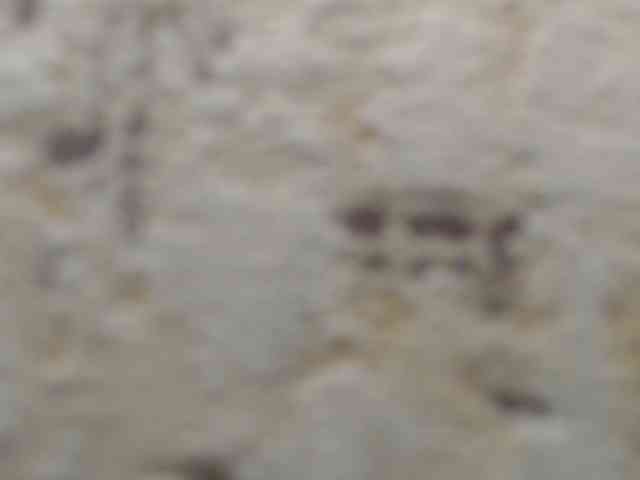 moxxito webcam
