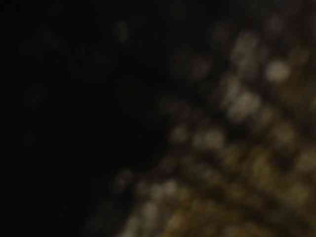 moxxito webcam