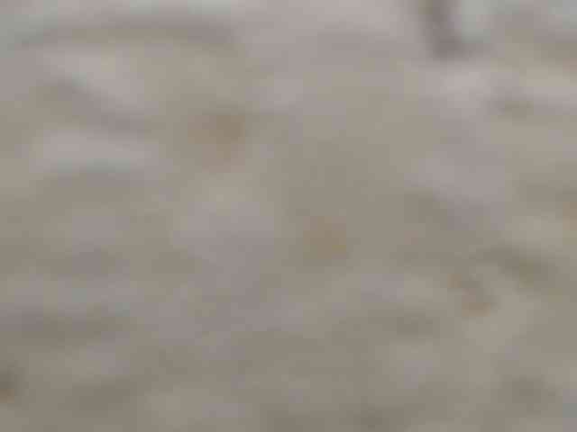 moxxito webcam