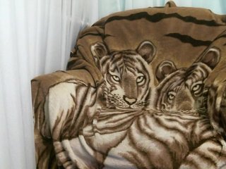 zayka11111 Porn Show