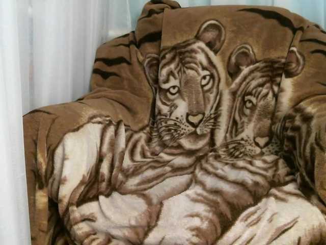 zaykazzz111 live sex show