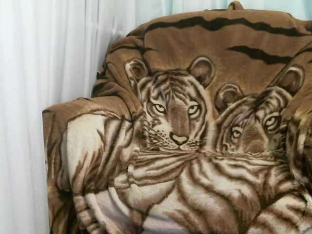 zaykazzz111 from BongaCams is Freechat