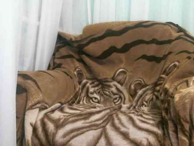 zaykazzz111 zaykazzz111