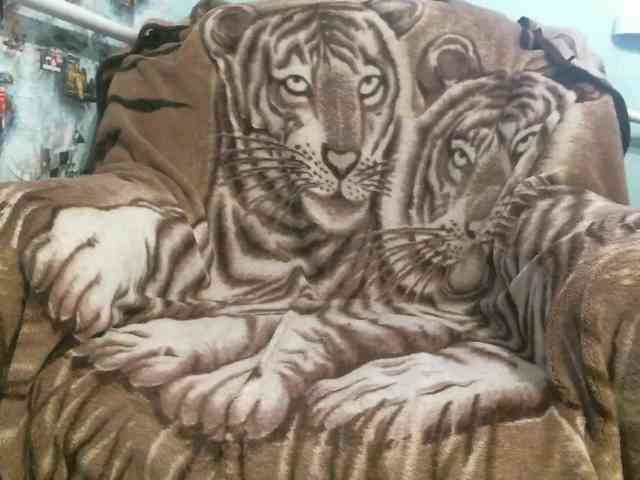 zaykazzz111 zaykazzz111