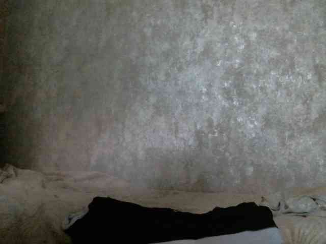 zaykazzz111 webcam