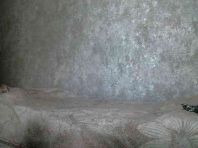 zaykazzz111 webcam