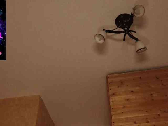 Findom_Lady_Shine webcam