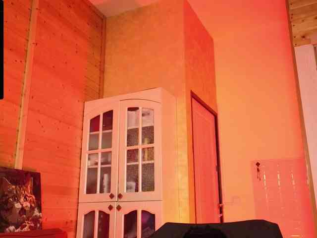 Findom_Lady_Shine webcam