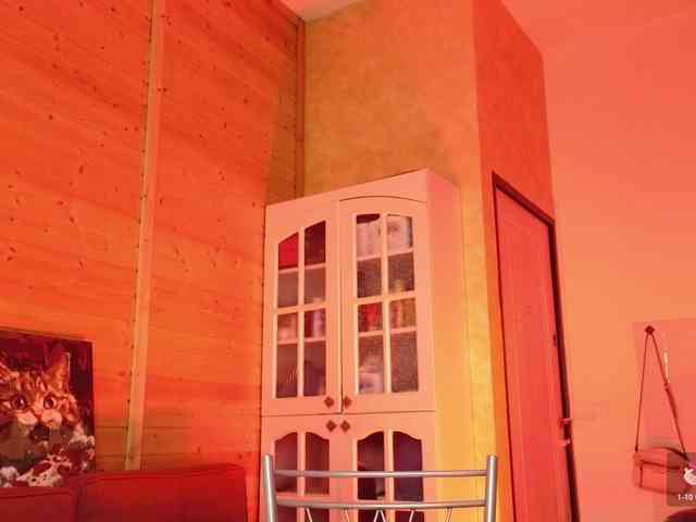 Findom_Lady_Shine webcam