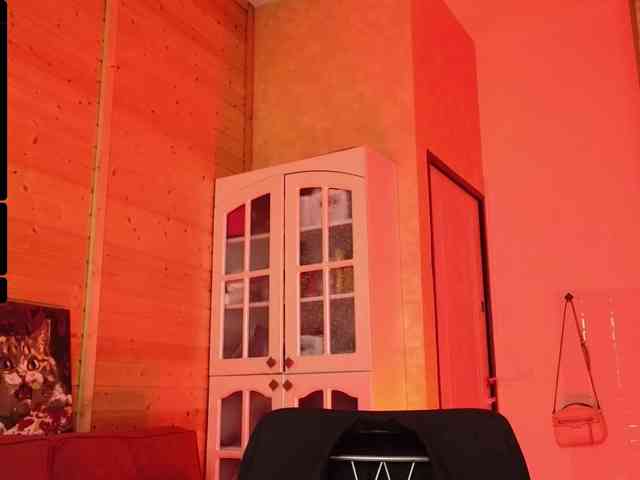 Findom_Lady_Shine webcam