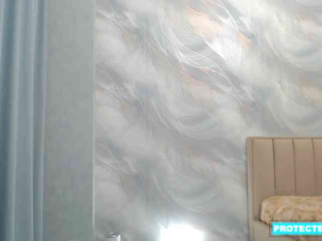 BB_Web webcam