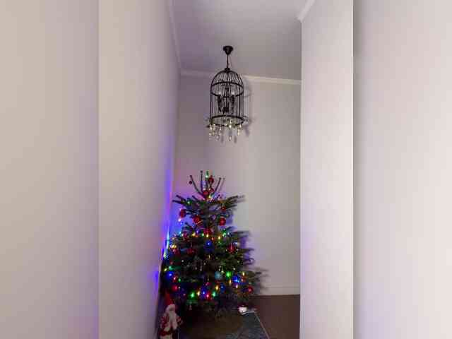 crazyanna9 crazyanna9