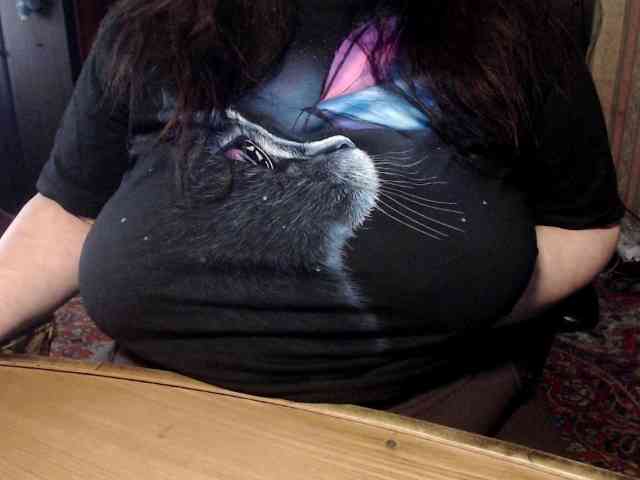 tanyvel34 Live Webcam on BongaCams