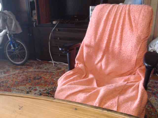 tanyvel webcam