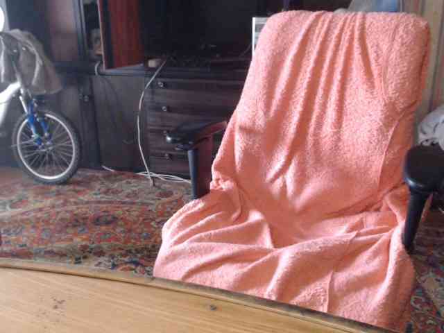 tanyvel webcam