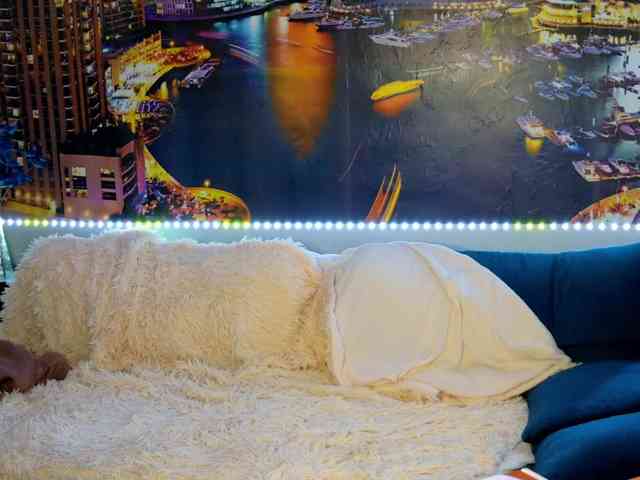 _Vishka_ webcam