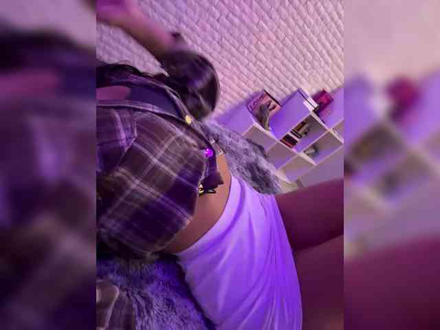 da_prisedala webcam