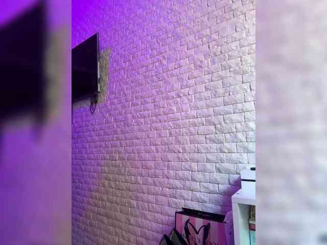 da_prisedala webcam