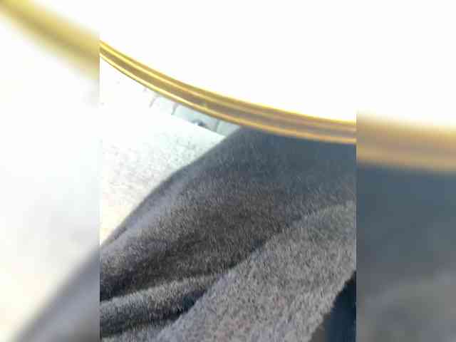 da_prisedala webcam