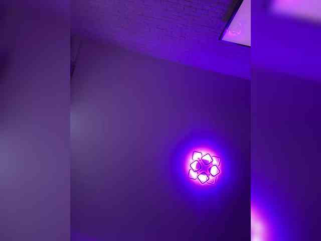 ne_prisedala webcam