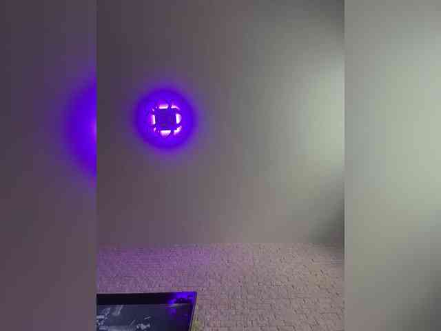 ne_prisedala webcam
