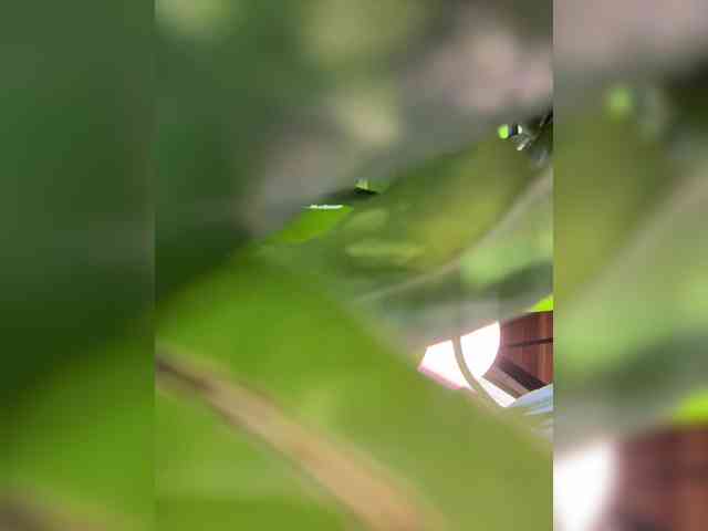 ne_prisedala webcam