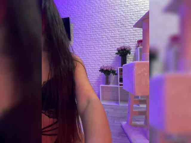 da_prisedala webcam