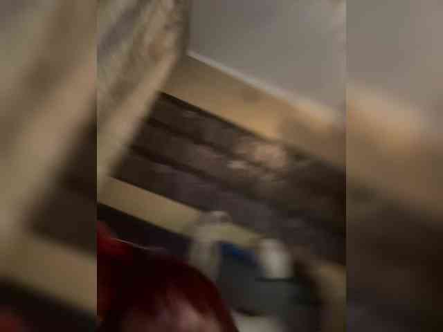 Millsieleonn webcam