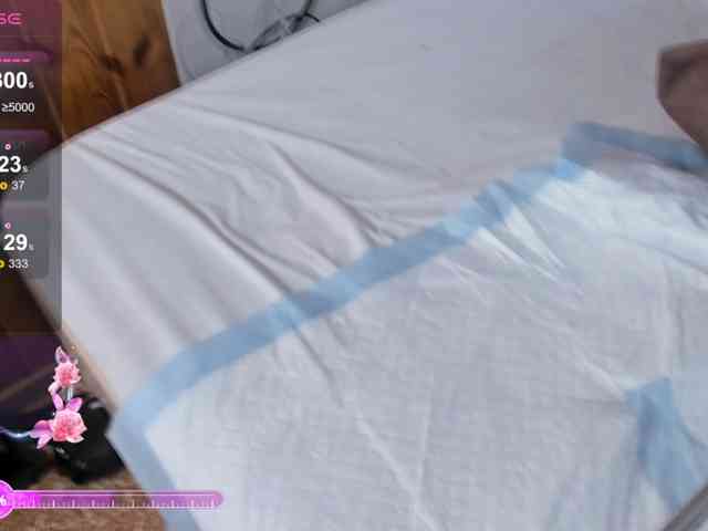 _Lioness_ webcam