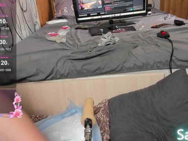 _Lioness_ webcam