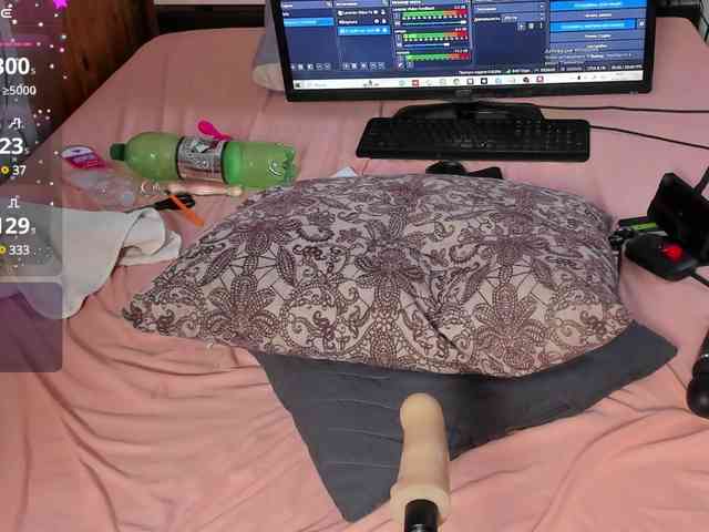 _Lioness_ webcam