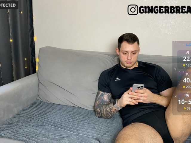 Preview of gingerbreads