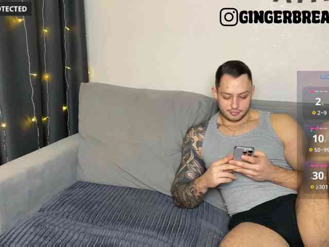 gingerbreads gingerbreads