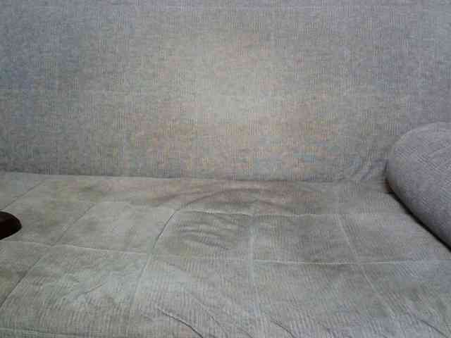 Rengin webcam
